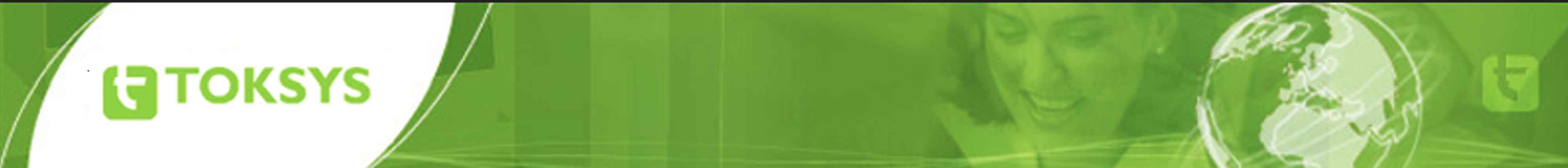 Toksys Logo